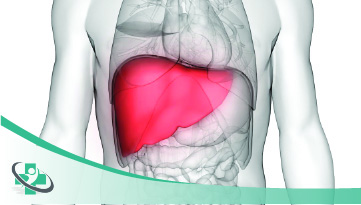 liver-transplant.jpg